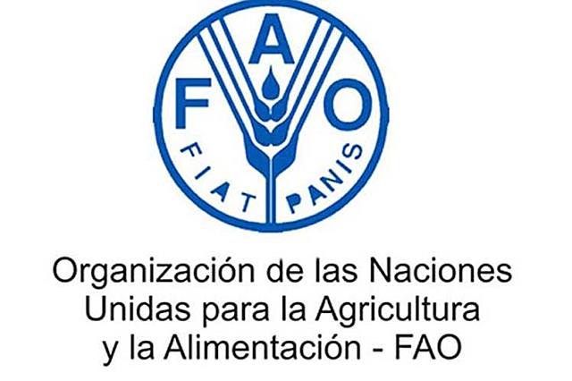 En 1940-1950 Formacion de Organizaciones