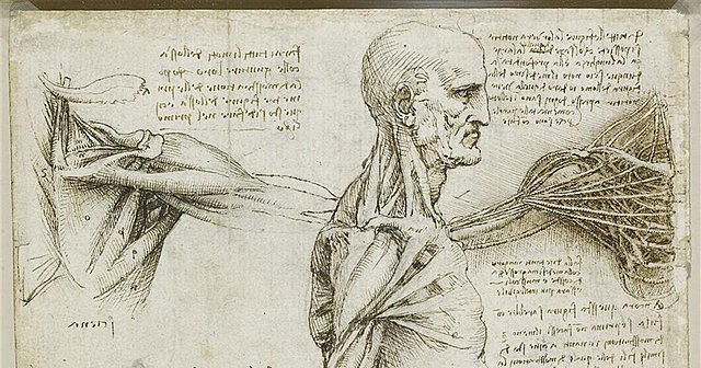 Primeros Dibujos del Cuerpo Humano