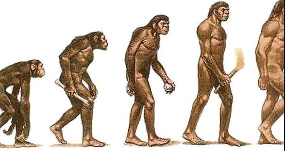 Surgimiento de los Homínidos y las Características de su Cerebro