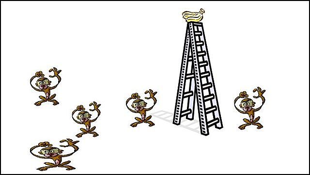 Nacen los paradigmas