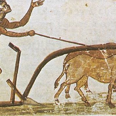 Timeline: HISTORIA DEL ARADO