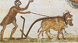 Timeline: HISTORIA DEL ARADO