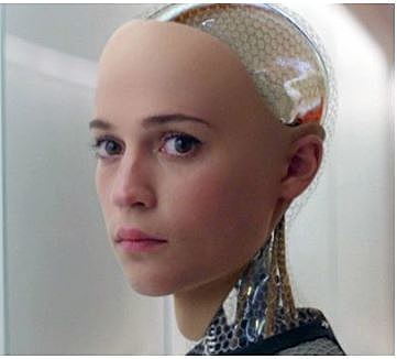 Cerebro Humano en 5000 años.