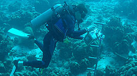 Timeline: Oceanography HIstorical Discoveries