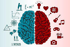 Hemisferios Cerebrales