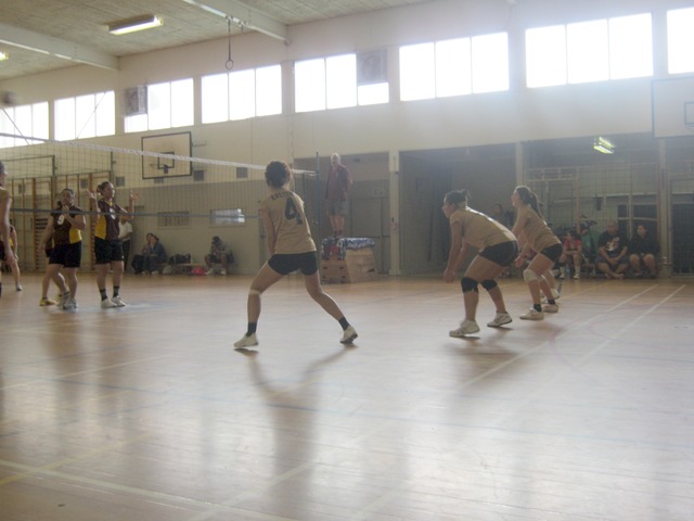 Week 4 - Christchurch