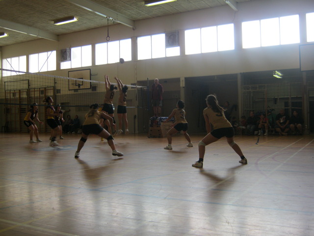 Week 7 - Christchurch