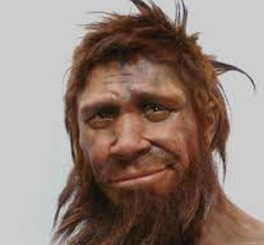 Svijordbrukets oprinnelse