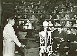 Average Lifespan (2000AD)