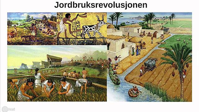 Jordbruksrevolusjonen