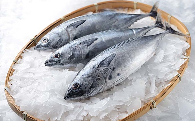 Conservación con bloques de hielo