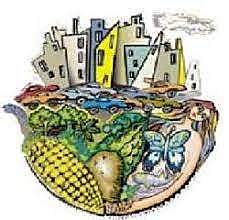 Proceso de Industrialización