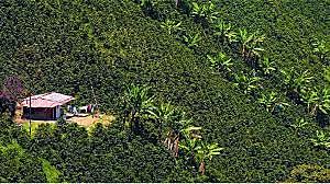 Productividad Agrícola y el Mejoramiento de la Distribución del Ingreso