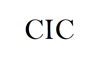 comité de coordinación internacional del deporte para discapacitados