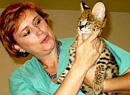 Martha Cecilia Gómez