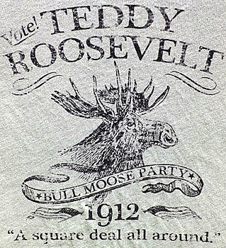Theodore Roosevelt and the Bull Moose Party