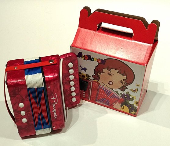 También el acordeón aprendí a tocarlo.