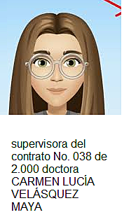 NOMBRAMIENTO DE SUPERVISORA DEL CONTRATO