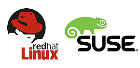 1.0: Linux, Red Hat y SUSE