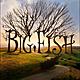 Big fish 838287233 large