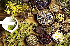 Inicios de la biotecnología