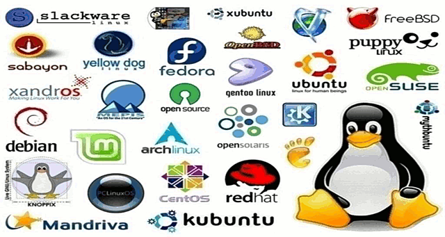 Las primeras distribuciones Linux son creadas como H J Lu.