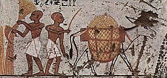 Civilización de Egipto