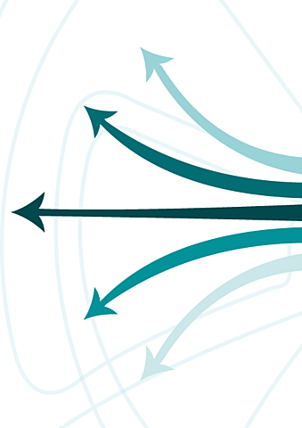 Elección de las lineas de trabajo