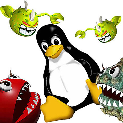Primer gusano de Linux