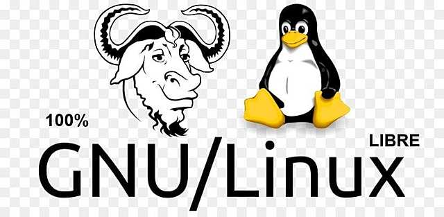 Linux-libre y Linux 2.6.28