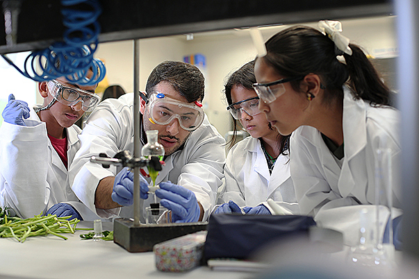 Presentación de avances