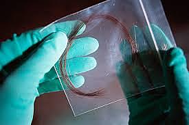 Hair DNA
