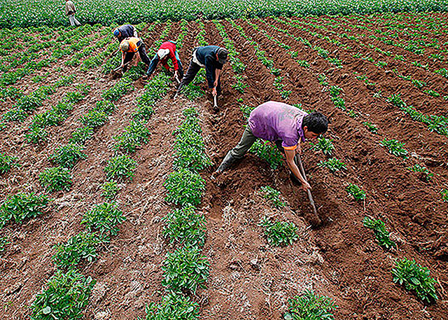 Derecho a la propiedad colectiva  de Tierras  a las Comunidades Negras