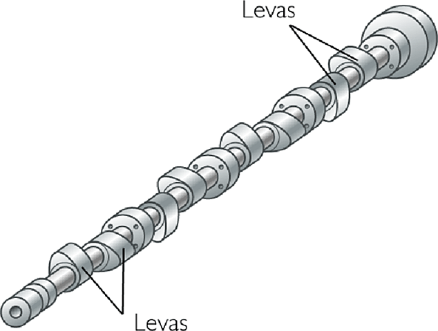 Árboles de levas y cigüeñal.
