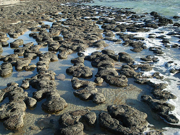 Hace 3500 millones de años