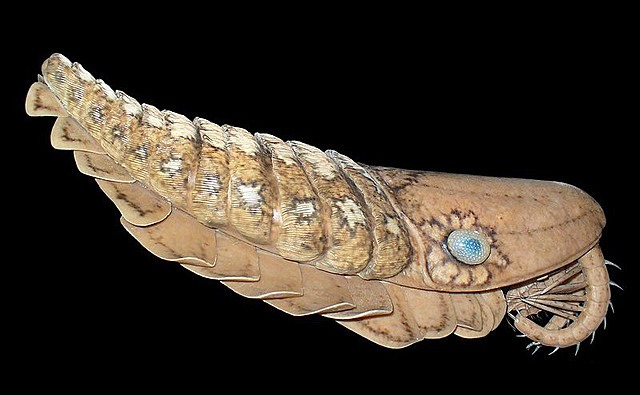 Luego de la era de hielo