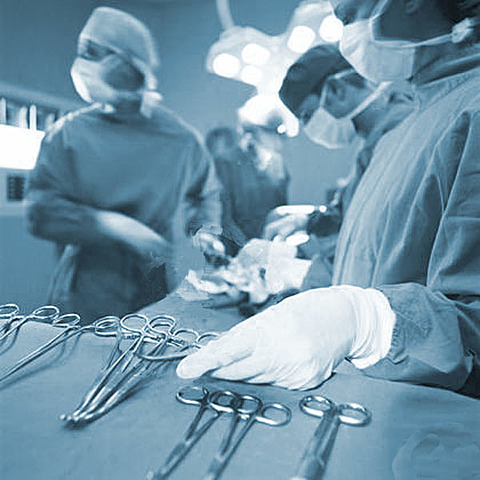 Programa profesional