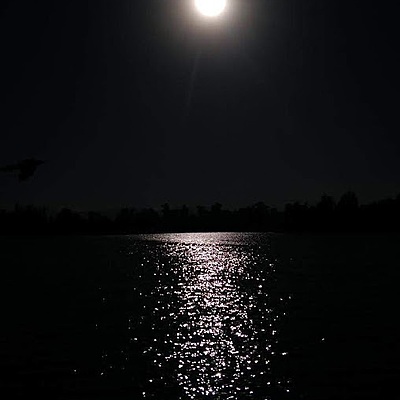 Timeline: Avances tecnológicos.