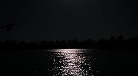 Timeline: Avances tecnológicos.