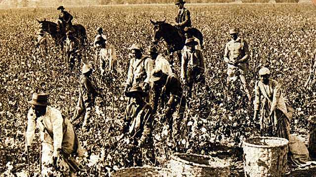 Sharecropping