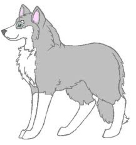 Blooms Go on their First Cruise as a Family