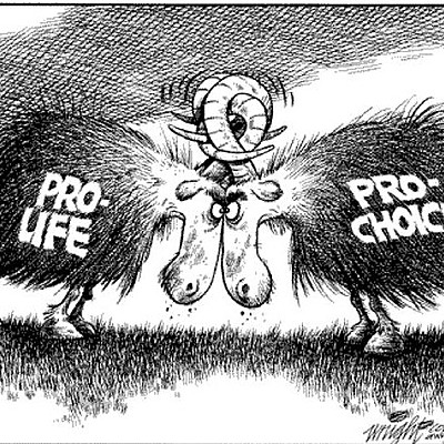 Timeline: History of Abortion