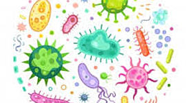 Timeline: Cazadores  de Microbios Keiner Jose Rodriguez