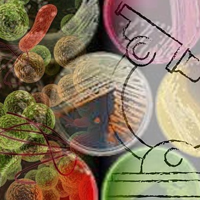 Timeline: Historia de la microbiología aplicada