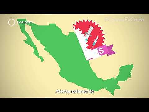 Creación del Programa de Vacunación Universal