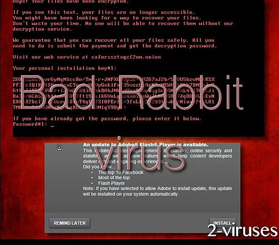 El virus Rabbit