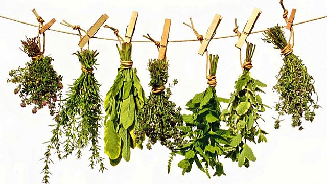 Impulso de uso e investigación de plandas medicinales nacionales por Garcol