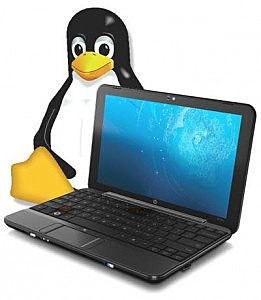 Llegó la netbook con Linux