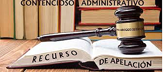 RECURSO DE APELACIÓN