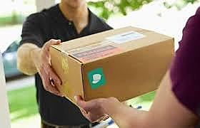 E. C. Allan da inicio a la compra por correo al fundar la empresa "People's literary